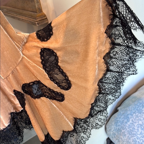 Alice + Olivia tan velvet and black lace Asymmetrical Bell Sleeve Blouse - Picture 3 of 10